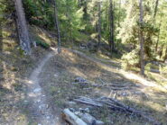 sentiero di discesa in ottime condizioni