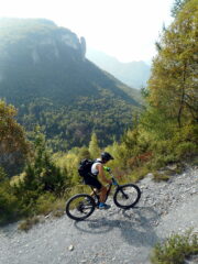 al cospetto dell'Uia