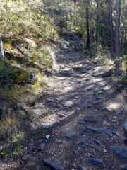 sentiero a tratti pietroso