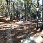 in discesa sul trail Pigna Olocco