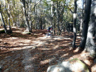 in discesa sul trail Pigna Olocco