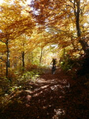 tripudio di colori sopra tetti Cortassa