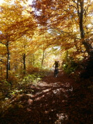 tripudio di colori sopra tetti Cortassa