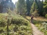 Alla palina del Pian di Funs