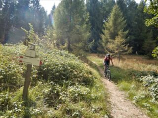 Alla palina del Pian di Funs