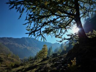 Luci d'autunno sopra la bergeria della Balma