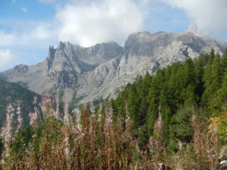 Tenailles de Montbrison