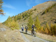 tratti di salita più agevoli.....