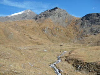 Punta Ramiere 3302 m. vista dal bivacco Tornior