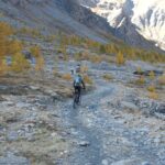 la bellezza dei tratti in ombra