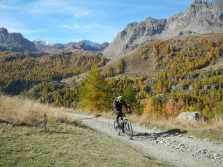 lo sterrato di salita al rifugio Ricou