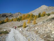lo sterrato per il Col de Buffère aggira il versante sud del Grand Arèa