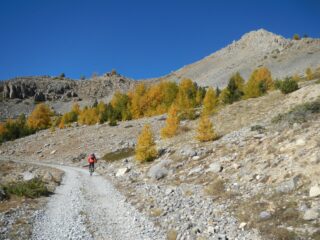 lo sterrato per il Col de Buffère aggira il versante sud del Grand Arèa