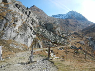 l'inizio del Vallon de Savine