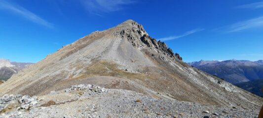 Guglia Rossa dal colletto