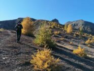 scendendo dall'Auta di Barel