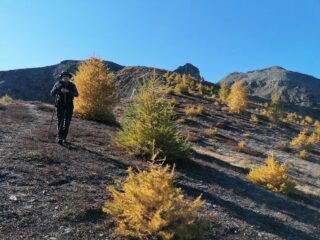 scendendo dall'Auta di Barel