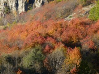 Ancora colori spettacolari scendendo