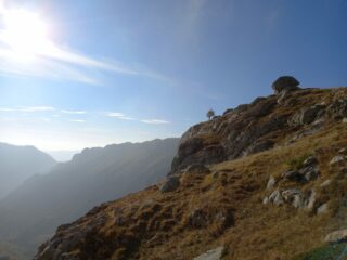 Il cappello di Napoleone