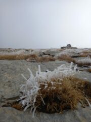 Comincia a fare freschetto