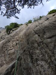 Settore degli Amici, ci è piaciuto molto.