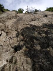 Le belle Placche del settore degli Amici