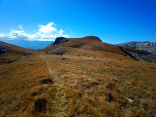 Verso Cima PIan Comune (in fondo le Saline)