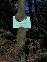 La natura non la freghi mica...! 