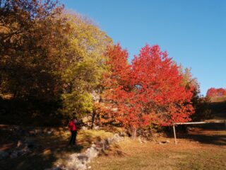 Colori a Murenz