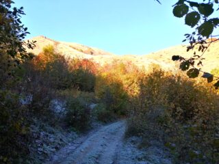 Contrasti cromatici e termici