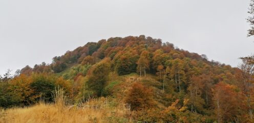 Monte Tovo