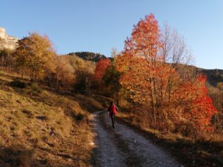 Colori invitanti già in partenza