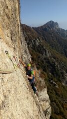 Frenk sul traverso