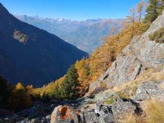 Panorama, colori autunnali, e passerella caratteristica