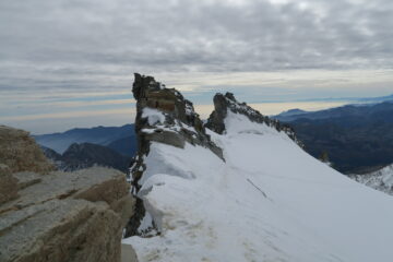 anche la terminale si passa agevolmente