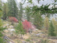 Autunno