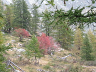 Autunno