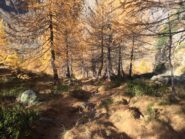 Autunno 3