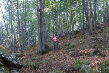 Nel bosco dopo la fontana Saccona