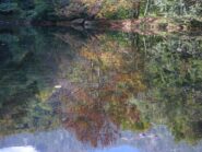 Riflessi