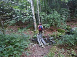 Passerella da equilibristi