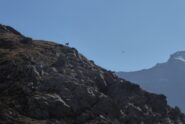 La sentinella sulla Rocca Ciarva