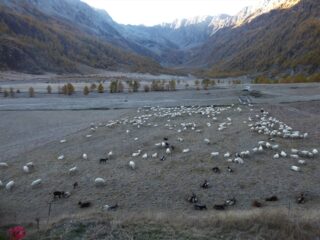 Conca del Prà
