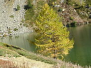 lago di san Bernolfo