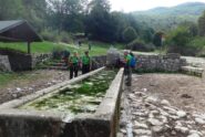 Il fontanile dei Cementi