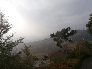 dal belvedere