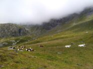 Pian Polenta invasa dalle vadzes, e colle invaso dalle nuvole