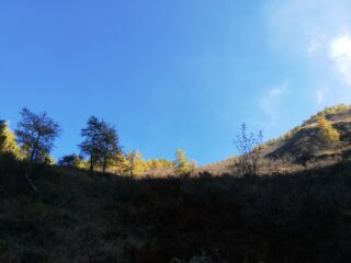 Pendii parte intermedia