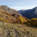 All'uscita dal bosco