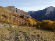 All'uscita dal bosco